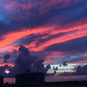 Meet your Posher, Rylee